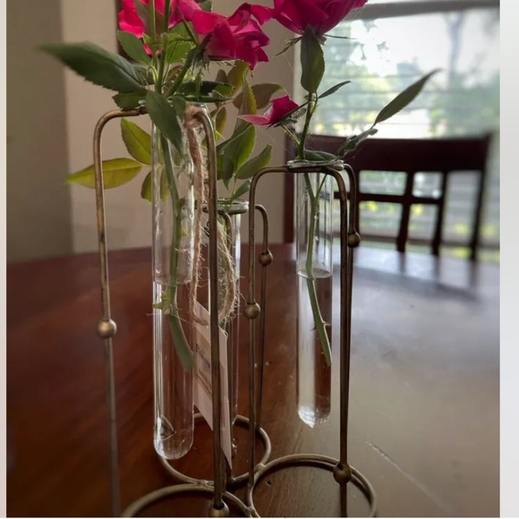 Gold Metal Hinged 3 Glass Test Tubes Vase Set. - Picture 9 of 13